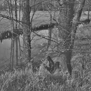 Landschaftsbild. Wälder und Wiesen um Burg-Kauper. : Wobraz krajiny. Lěsy a łuki wokoło Kupaŕskich Bórkowow.