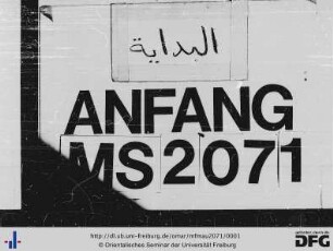 MF Mau 2071