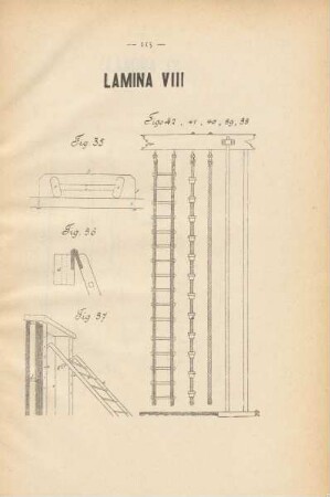 Lamina VIII