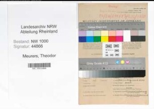 Entnazifizierung Theodor Meurers, geb. 22.03.1899 (Kreisinspektor)