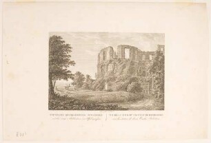 Dicker Turm des Heidelberger Schlosses