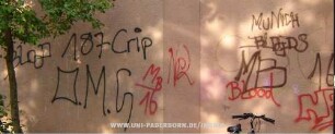 BLOOD O.M.G | 187 Crip