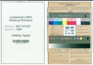 Entnazifizierung Agnes Hasberg , geb. 30.01.1907 (Lehrerin)