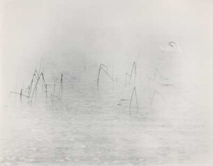 Binsen und Schwan, abstrakt