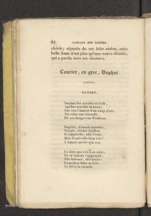 Laurier, en grec, Daphne.