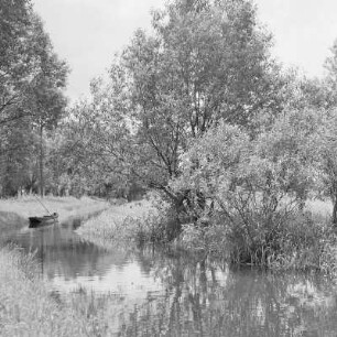 Fließgewässer bei Burg-Kauper. Fluss durch Felder und Wiesen. : Groble pola Kupaŕskich Bórkowach blisko Wilišća.
