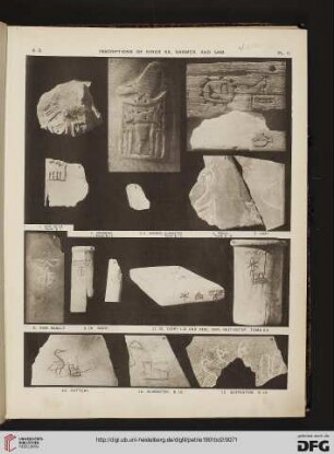 Plate II-LIX