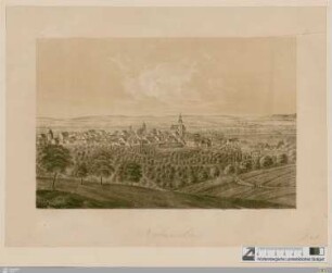 Neckarsulm