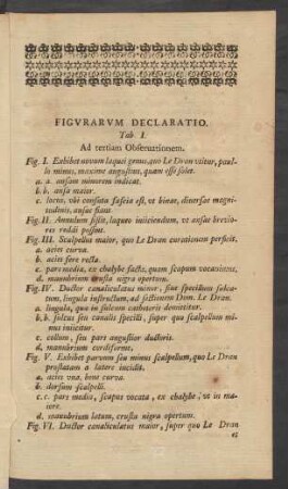 Figurarum Declaratio