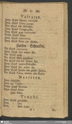Harfen-Schnecken