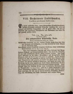 VIII. Versteinerte Linksschnecken.