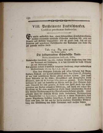 VIII. Versteinerte Linksschnecken.