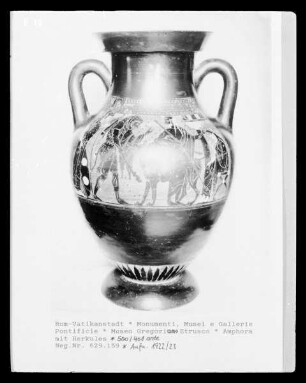 Amphora mit Herkules und Zerbero