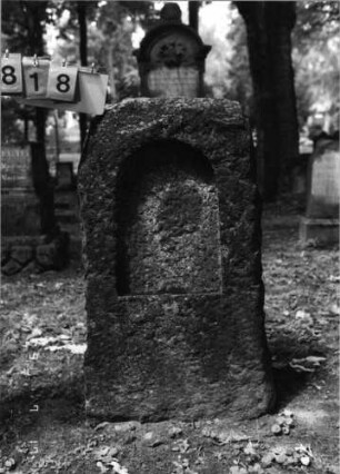 Grabstein 818