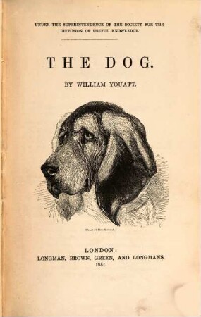 The dog