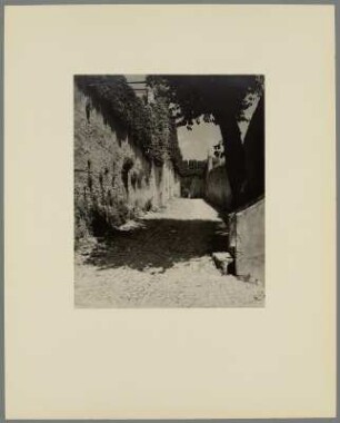 Gasse mit pflanzenbedeckten Mauern und Fassaden in San Vigilio am Gardasee