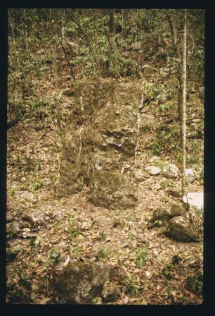 Altamira, Stela 2 (ALM: St. 2)