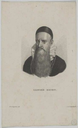 Bildnis des Gaspard Bauhin