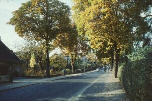 Salinenstraße: rechts und links Wohnhäuser, Hecken, Vorgärten und Bäume: hinten Mitte Fußgänger, Fahrradfahrer und Pkws
