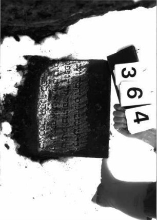 Grabstein 364