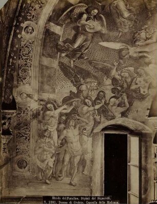 2383. Duomo di Orvieto. Cappella della Madonna. Strada del Paradiso. Dipinti dal Signorelli