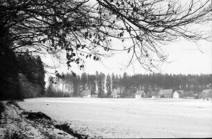 Kälberbronn: Häuser am Wald