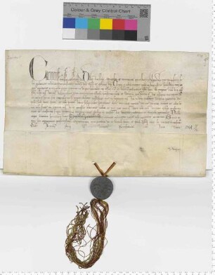 Papst Clemens VI. nimmt die Güter des Klosters Heiligenthal in seinen Schutz. [lat]