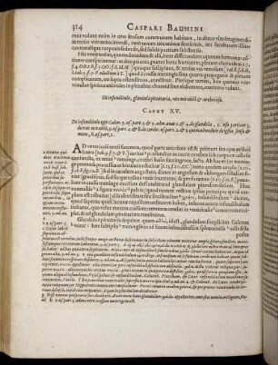 Caput XV. - Caput XIX.