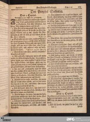 Der Prophet Sacharja.