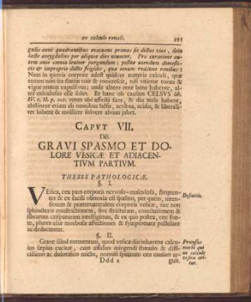 Capvt VII. De gravi spasmo et dolore vesicae et adiacentivm partivm