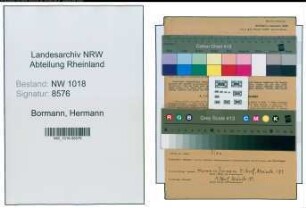 Entnazifizierung Hermann Bormann , geb. 01.10.1901 (Schreiner)