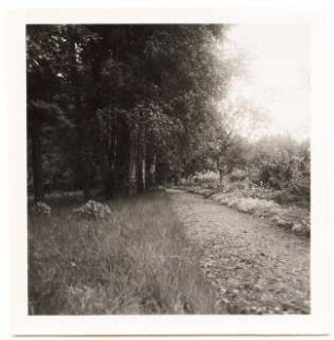 Garten Dr. Schraube, Pritzwalk: Weg im Park