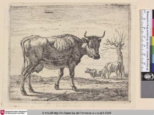 [Drei Kühe; Three Cows]