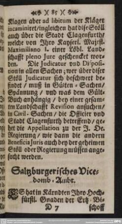 Salzburgerisches Vicedomb-Ambt