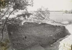 Wall, Radibor