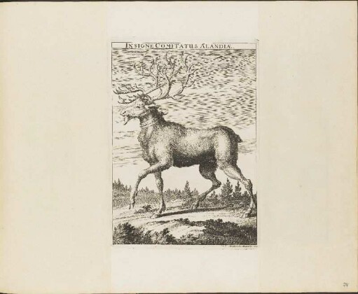 Kupferstich: Insigne Comitatus Alandiae