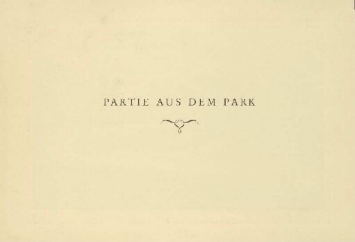 Partie aus dem Park