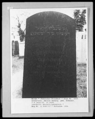 Grabstein von Emilie Herzog (geborene Scheuer) (gestorben 1905.11.27)