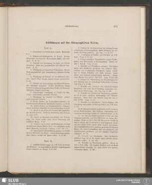 Erklärung der Abbildungen auf den lithographierten Tafeln