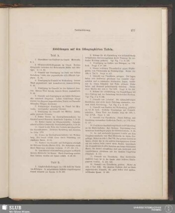 Erklärung der Abbildungen auf den lithographierten Tafeln