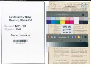 Entnazifizierung Johanna Biener, geb. 04.04.1886 ()