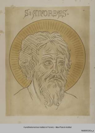 Kopf des Apostels Andreas