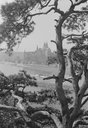 Meißen. Blick über die Elbe zur Albrechtsburg mit Dom