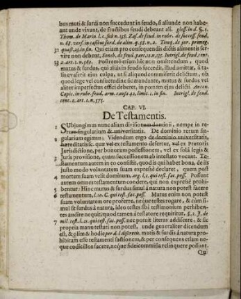 Cap. VI. De Testamentis.