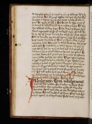 Reinerus de Pisis: Pantheologia. Indulgentia cap. I–V.