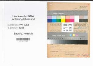 Entnazifizierung Heinrich Ludwig , geb. 03.03.1900 (Landwirt)