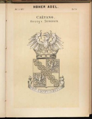 Taf. 75. Caëtano, Herzog v. Sermoneta.