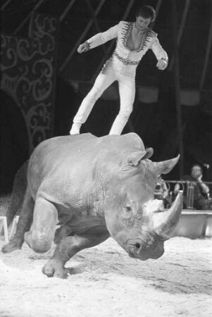 Gastspiel des Zirkus Barum auf dem Karlsruher Messplatz. Auftritt in Bad Kreuznach