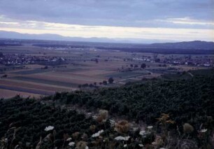 Merdingen: Landschaft in Richtung Vogesen vom Tuniberg aus