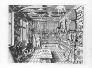 Musei Wormiani : Wingendorp, G.: Musei Wormiani. Kupferstich; 294 x 374 mm (Plattenrand). 1655. Aus: Worm, Ole: Museum Wormianum, seu historia rerum rariorum, tam naturalium, quam artificialium, tam domesticarum, quam exoticarum, quae Hafniae Danorum in aedibus authoris servantur. Amstelodami: apud Ludovicum & Danielem Elzevirios, 1655. Dresden: SLUB Hist.nat.A.85